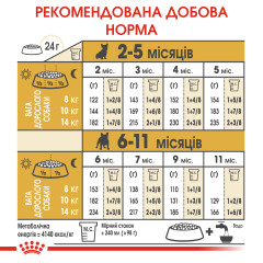 Сухий корм для цуценят породи Французький бульдог ROYAL CANIN FRENCH BULLDOG PUPPY (домашня птиця), 1 кг